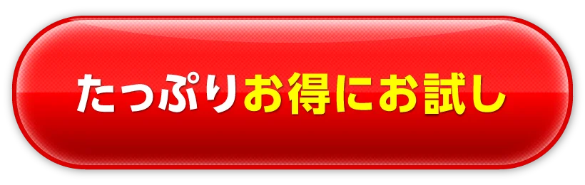 たっぷりお得にお試し